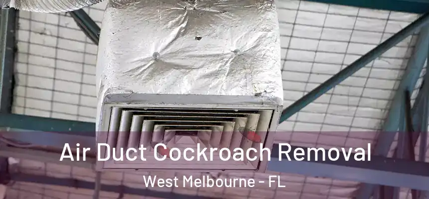 Air Duct Cockroach Removal West Melbourne - FL