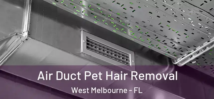  Air Duct Pet Hair Removal West Melbourne - FL