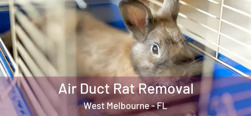  Air Duct Rat Removal West Melbourne - FL