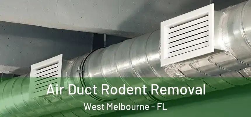  Air Duct Rodent Removal West Melbourne - FL