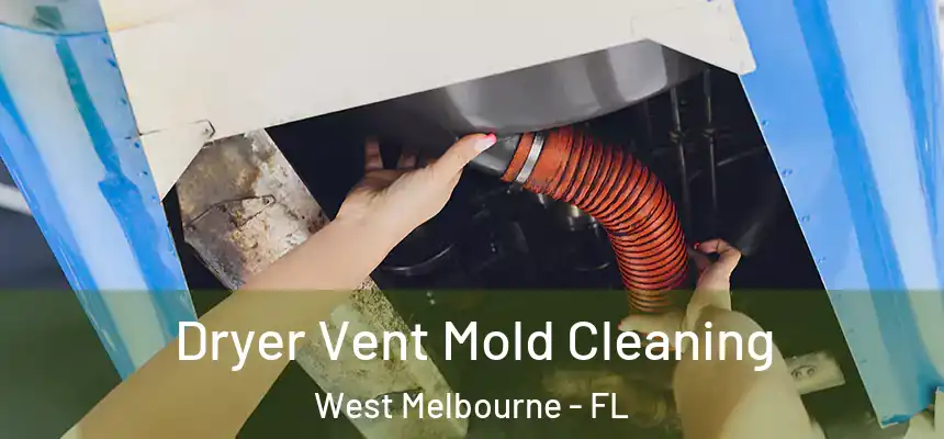 Dryer Vent Mold Cleaning West Melbourne - FL