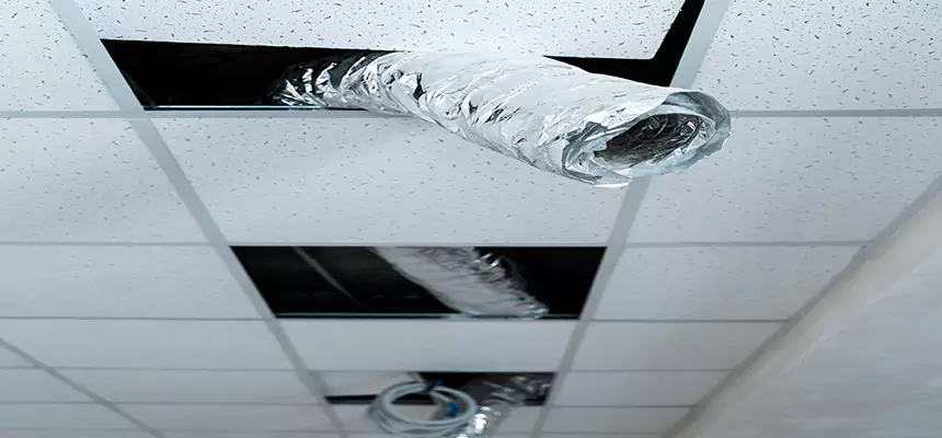 Our Air Duct Pet Hair Removal Services in West Melbourne, FL