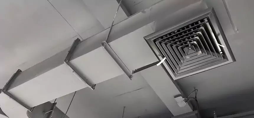 Restorative Allergy Relief Vent Cleaning – Coil, Blower & Housing Detail in West Melbourne