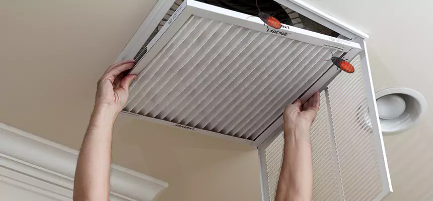 Our Insect Removal from Air Ducts Services in West Melbourne, FL