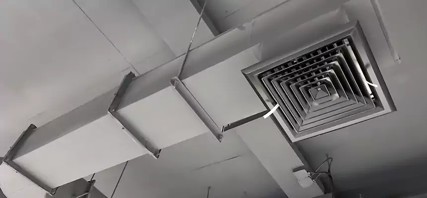 Our Pest Removal From Ducts Services in West Melbourne, FL