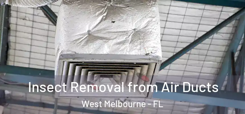 Insect Removal from Air Ducts West Melbourne - FL