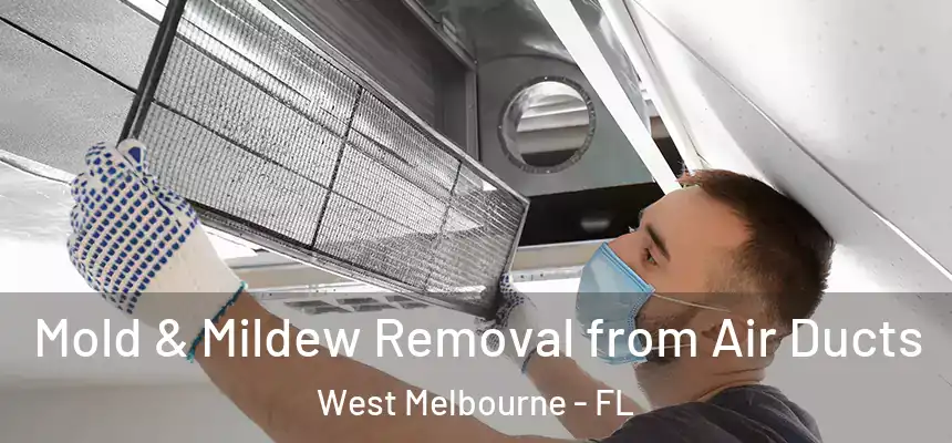  Mold & Mildew Removal from Air Ducts West Melbourne - FL