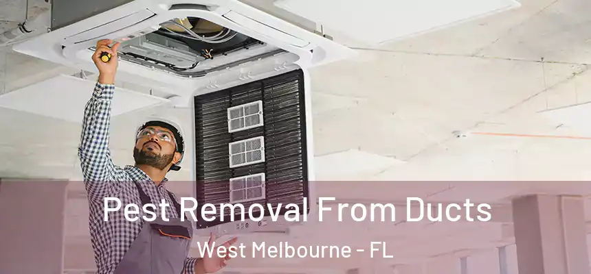  Pest Removal From Ducts West Melbourne - FL