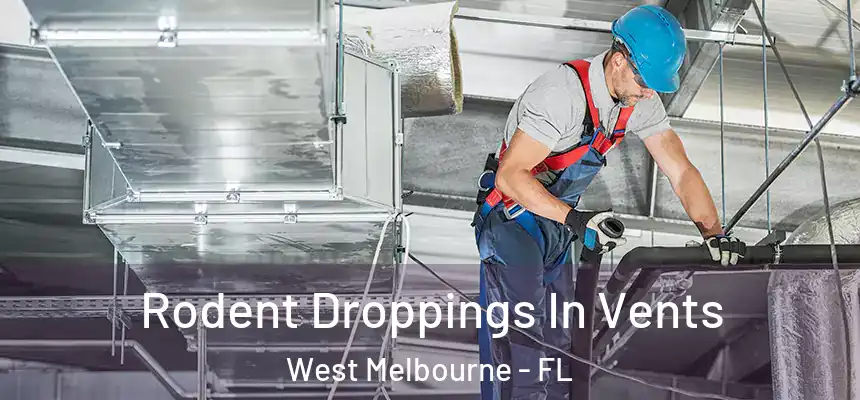  Rodent Droppings In Vents West Melbourne - FL