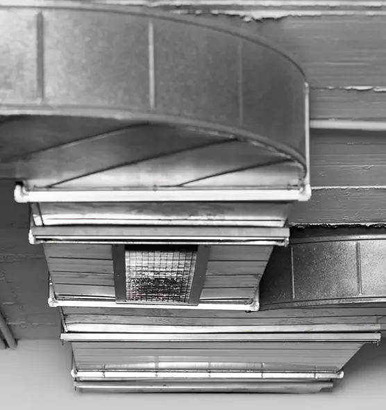 Professional Air Duct Pet Hair Removal in West Melbourne, FL