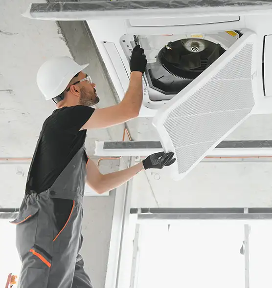 About Air Duct Rodent Removal in West Melbourne, FL