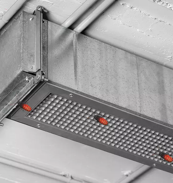 Affordable Insect Removal from Air Ducts in West Melbourne, FL