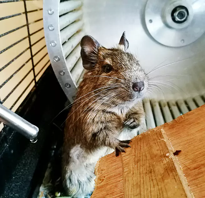 Why Homeowners & Businesses Trust Us West Melbourne, FL?