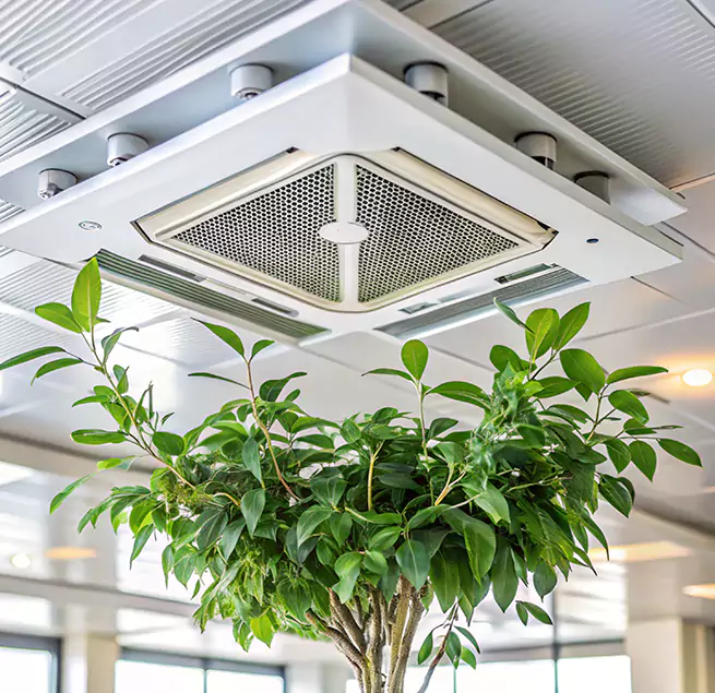 Why Homeowners & Businesses Trust Us in West Melbourne, FL?